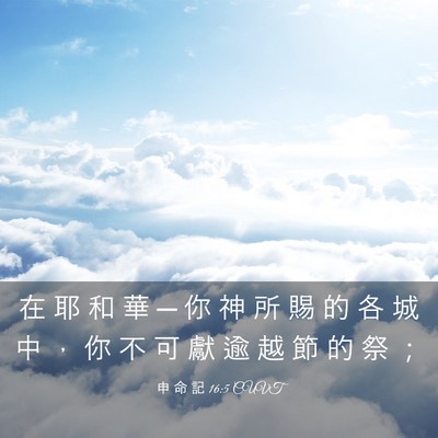 Picture 03 - 申 命 記 16:5 CUVT - 在 耶 和 華 ─ 你 神 所 賜 的 各 城 - Bible Verse Picture