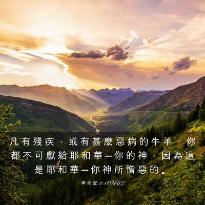 Picture 03 - 申 命 記 17:1 CUVT - 凡 有 殘 疾 ， 或 有 甚 麼 惡 病 的 - Bible Verse Picture