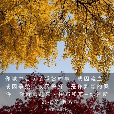 Picture 03 - 申 命 記 17:8 CUVT - 你 城 中 若 起 了 爭 訟 的 事 ， 或 - Bible Verse Picture