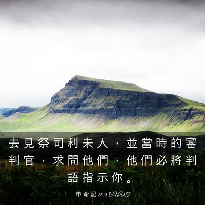 Picture 03 - 申 命 記 17:9 CUVT - 去 見 祭 司 利 未 人 ， 並 當 時 的 - Bible Verse Picture