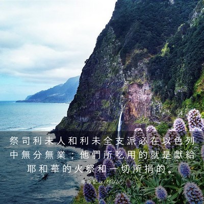 Picture 03 - 申 命 記 18:1 CUVT - 祭 司 利 未 人 和 利 未 全 支 派 必 - Bible Verse Picture
