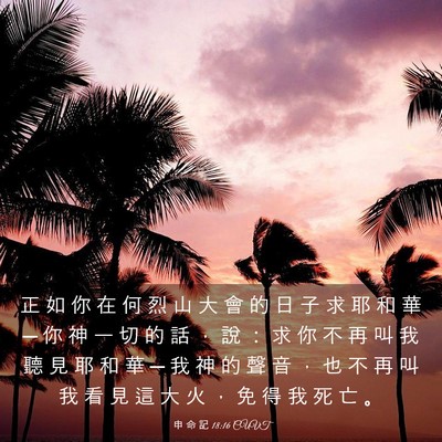 Picture 03 - 申 命 記 18:16 CUVT - 正 如 你 在 何 烈 山 大 會 的 日 子 - Bible Verse Picture