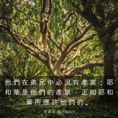 Picture 03 - 申 命 記 18:2 CUVT - 他 們 在 弟 兄 中 必 沒 有 產 業 ； - Bible Verse Picture
