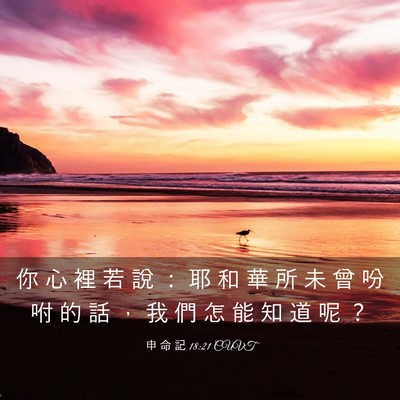 Picture 03 - 申 命 記 18:21 CUVT - 你 心 裡 若 說 ： 耶 和 華 所 未 曾 - Bible Verse Picture