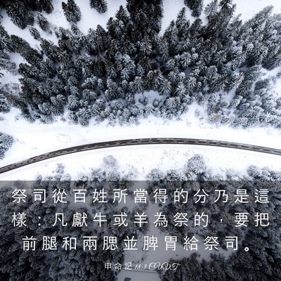 Picture 03 - 申 命 記 18:3 CUVT - 祭 司 從 百 姓 所 當 得 的 分 乃 是 - Bible Verse Picture