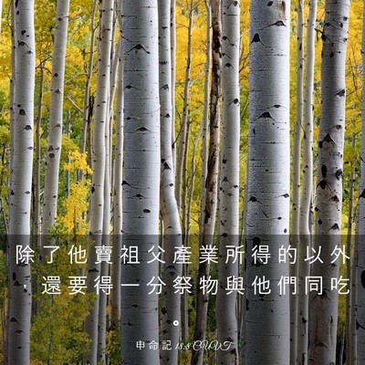 Picture 03 - 申 命 記 18:8 CUVT - 除 了 他 賣 祖 父 產 業 所 得 的 以 - Bible Verse Picture