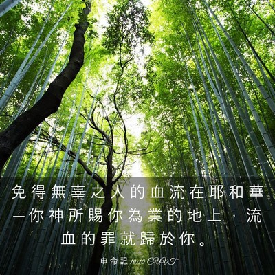 Picture 03 - 申 命 記 19:10 CUVT - 免 得 無 辜 之 人 的 血 流 在 耶 和 - Bible Verse Picture