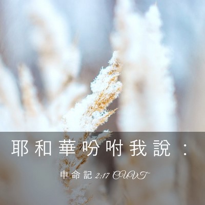 Picture 03 - 申 命 記 2:17 CUVT - 耶 和 華 吩 咐 我 說 - Bible Verse Picture