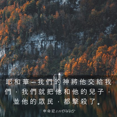 Picture 03 - 申 命 記 2:33 CUVT - 耶 和 華 ─ 我 們 的 神 將 他 交 給 - Bible Verse Picture
