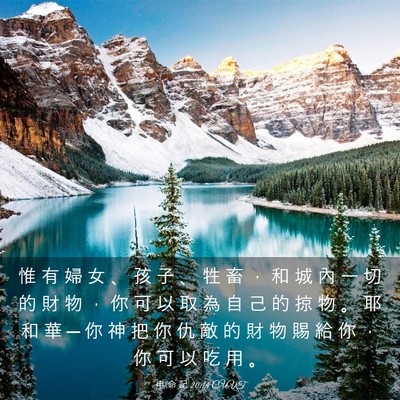 Picture 03 - 申 命 記 20:14 CUVT - 惟 有 婦 女 、 孩 子 、 牲 畜 ， 和 - Bible Verse Picture