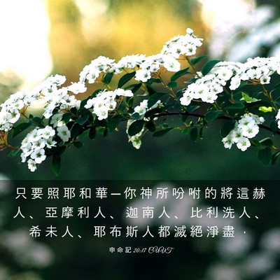 Picture 03 - 申 命 記 20:17 CUVT - 只 要 照 耶 和 華 ─ 你 神 所 吩 咐 - Bible Verse Picture