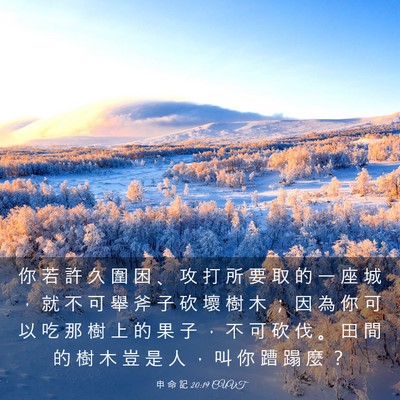 Picture 03 - 申 命 記 20:19 CUVT - 你 若 許 久 圍 困 、 攻 打 所 要 取 - Bible Verse Picture