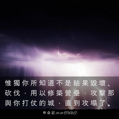Picture 03 - 申 命 記 20:20 CUVT - 惟 獨 你 所 知 道 不 是 結 果 毀 壞 - Bible Verse Picture