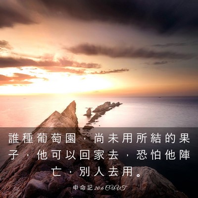Picture 03 - 申 命 記 20:6 CUVT - 誰 種 葡 萄 園 ， 尚 未 用 所 結 的 - Bible Verse Picture