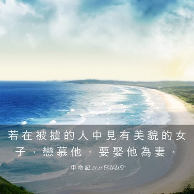 Picture 03 - 申 命 記 21:11 CUVT - 若 在 被 擄 的 人 中 見 有 美 貌 的 - Bible Verse Picture