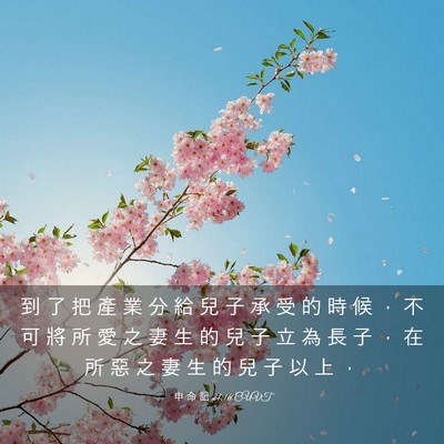Picture 03 - 申 命 記 21:16 CUVT - 到 了 把 產 業 分 給 兒 子 承 受 的 - Bible Verse Picture