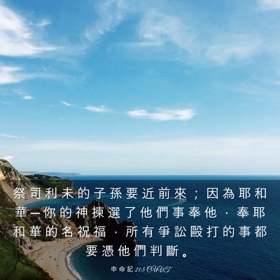 Picture 03 - 申 命 記 21:5 CUVT - 祭 司 利 未 的 子 孫 要 近 前 來 ； - Bible Verse Picture