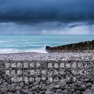 Picture 03 - 申 命 記 21:6 CUVT - 那 城 的 眾 長 老 ， 就 是 離 被 殺 - Bible Verse Picture