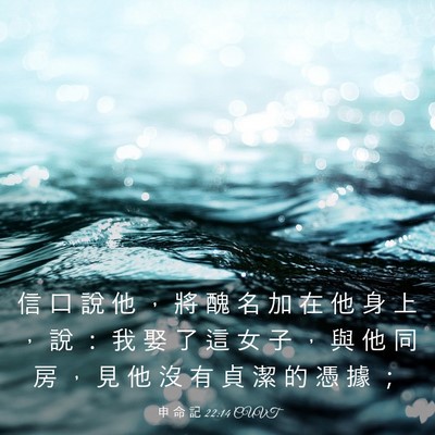 Picture 03 - 申 命 記 22:14 CUVT - 信 口 說 他 ， 將 醜 名 加 在 他 身 - Bible Verse Picture