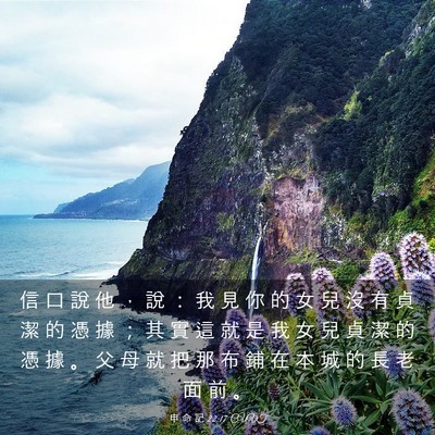 Picture 03 - 申 命 記 22:17 CUVT - 信 口 說 他 ， 說 ： 我 見 你 的 女 - Bible Verse Picture