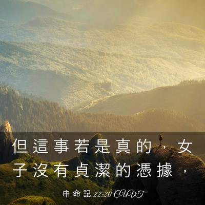 Picture 03 - 申 命 記 22:20 CUVT - 但 這 事 若 是 真 的 ， 女 子 沒 有 - Bible Verse Picture
