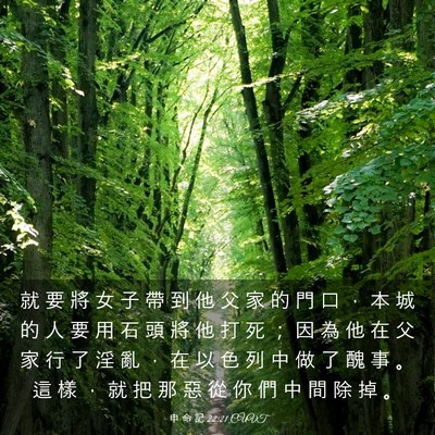 Picture 03 - 申 命 記 22:21 CUVT - 就 要 將 女 子 帶 到 他 父 家 的 門 - Bible Verse Picture