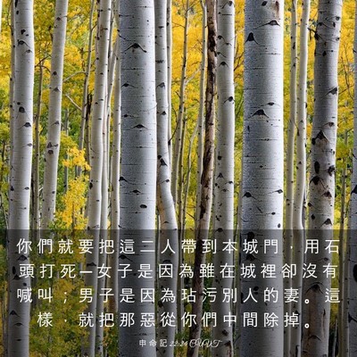 Picture 03 - 申 命 記 22:24 CUVT - 你 們 就 要 把 這 二 人 帶 到 本 城 - Bible Verse Picture