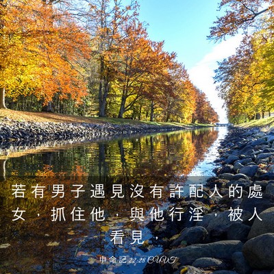 Picture 03 - 申 命 記 22:28 CUVT - 若 有 男 子 遇 見 沒 有 許 配 人 的 - Bible Verse Picture
