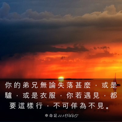 Picture 03 - 申 命 記 22:3 CUVT - 你 的 弟 兄 無 論 失 落 甚 麼 ， 或 - Bible Verse Picture