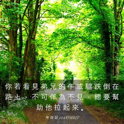 Picture 03 - 申 命 記 22:4 CUVT - 你 若 看 見 弟 兄 的 牛 或 驢 跌 倒 - Bible Verse Picture