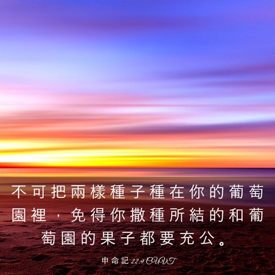 Picture 03 - 申 命 記 22:9 CUVT - 不 可 把 兩 樣 種 子 種 在 你 的 葡 - Bible Verse Picture
