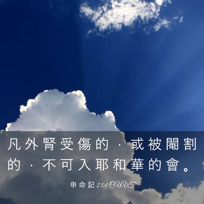 Picture 03 - 申 命 記 23:1 CUVT - 凡 外 腎 受 傷 的 ， 或 被 閹 割 的 - Bible Verse Picture