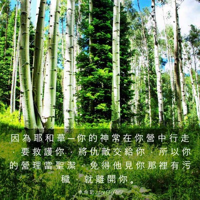 Picture 03 - 申 命 記 23:14 CUVT - 因 為 耶 和 華 ─ 你 的 神 常 在 你 - Bible Verse Picture