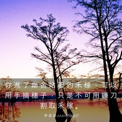Picture 03 - 申 命 記 23:25 CUVT - 你 進 了 鄰 舍 站 著 的 禾 稼 ， 可 - Bible Verse Picture