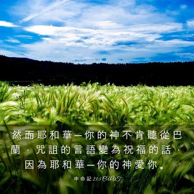 Picture 03 - 申 命 記 23:5 CUVT - 然 而 耶 和 華 ─ 你 的 神 不 肯 聽 - Bible Verse Picture