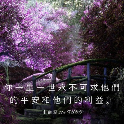 Picture 03 - 申 命 記 23:6 CUVT - 你 一 生 一 世 永 不 可 求 他 們 的 - Bible Verse Picture