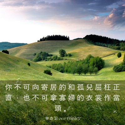 Picture 03 - 申 命 記 24:17 CUVT - 你 不 可 向 寄 居 的 和 孤 兒 屈 枉 - Bible Verse Picture