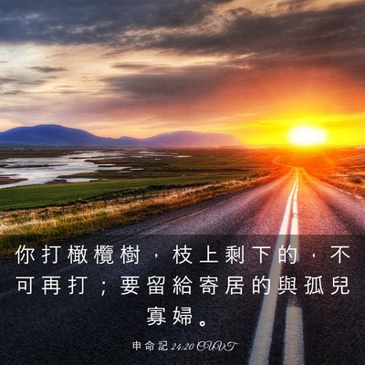 Picture 03 - 申 命 記 24:20 CUVT - 你 打 橄 欖 樹 ， 枝 上 剩 下 的 ， - Bible Verse Picture