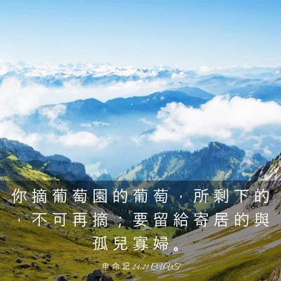 Picture 03 - 申 命 記 24:21 CUVT - 你 摘 葡 萄 園 的 葡 萄 ， 所 剩 下 - Bible Verse Picture