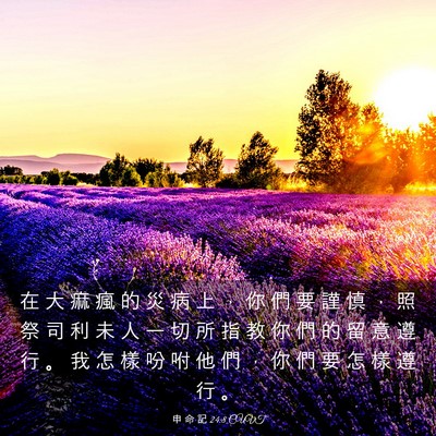 Picture 03 - 申 命 記 24:8 CUVT - 在 大 痲 瘋 的 災 病 上 ， 你 們 要 - Bible Verse Picture