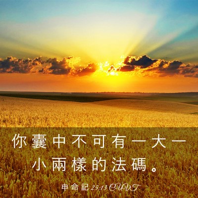 Picture 03 - 申 命 記 25:13 CUVT - 你 囊 中 不 可 有 一 大 一 小 兩 樣 - Bible Verse Picture