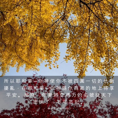 Picture 03 - 申 命 記 25:19 CUVT - 所 以 耶 和 華 ─ 你 神 使 你 不 被 - Bible Verse Picture