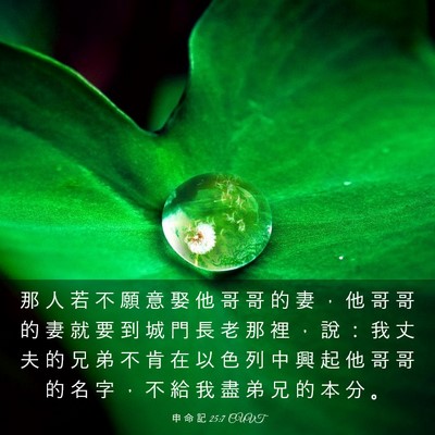 Picture 03 - 申 命 記 25:7 CUVT - 那 人 若 不 願 意 娶 他 哥 哥 的 妻 - Bible Verse Picture