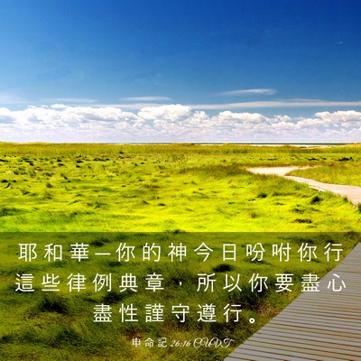 Picture 03 - 申 命 記 26:16 CUVT - 耶 和 華 ─ 你 的 神 今 日 吩 咐 你 - Bible Verse Picture