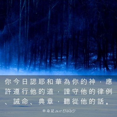 Picture 03 - 申 命 記 26:17 CUVT - 你 今 日 認 耶 和 華 為 你 的 神 ， - Bible Verse Picture