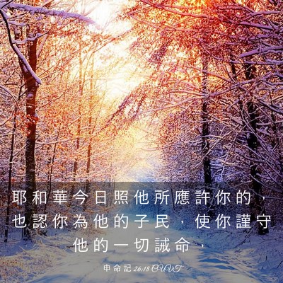 Picture 03 - 申 命 記 26:18 CUVT - 耶 和 華 今 日 照 他 所 應 許 你 的 - Bible Verse Picture