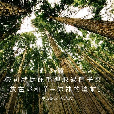 Picture 03 - 申 命 記 26:4 CUVT - 祭 司 就 從 你 手 裡 取 過 筐 子 來 - Bible Verse Picture