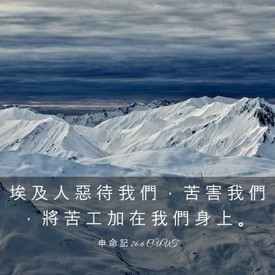 Picture 03 - 申 命 記 26:6 CUVT - 埃 及 人 惡 待 我 們 ， 苦 害 我 們 - Bible Verse Picture