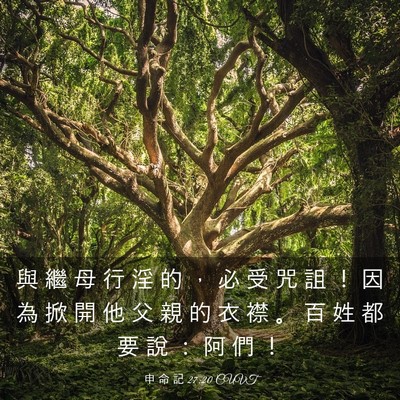 Picture 03 - 申 命 記 27:20 CUVT - 與 繼 母 行 淫 的 ， 必 受 咒 詛 ！ - Bible Verse Picture