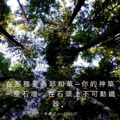 Picture 03 - 申 命 記 27:5 CUVT - 在 那 裡 要 為 耶 和 華 ─ 你 的 神 - Bible Verse Picture
